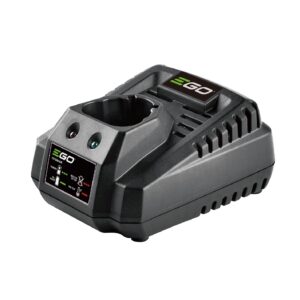 Standard 12V charger